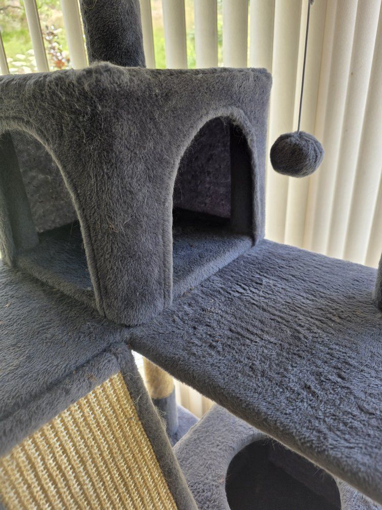 Main image 8