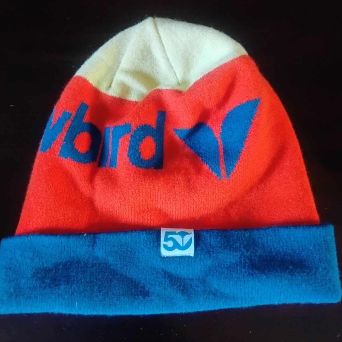 Snowbird beanie