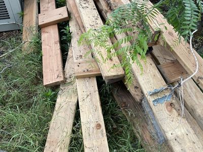 Free Wood 6x4s and Plywood Subfloor