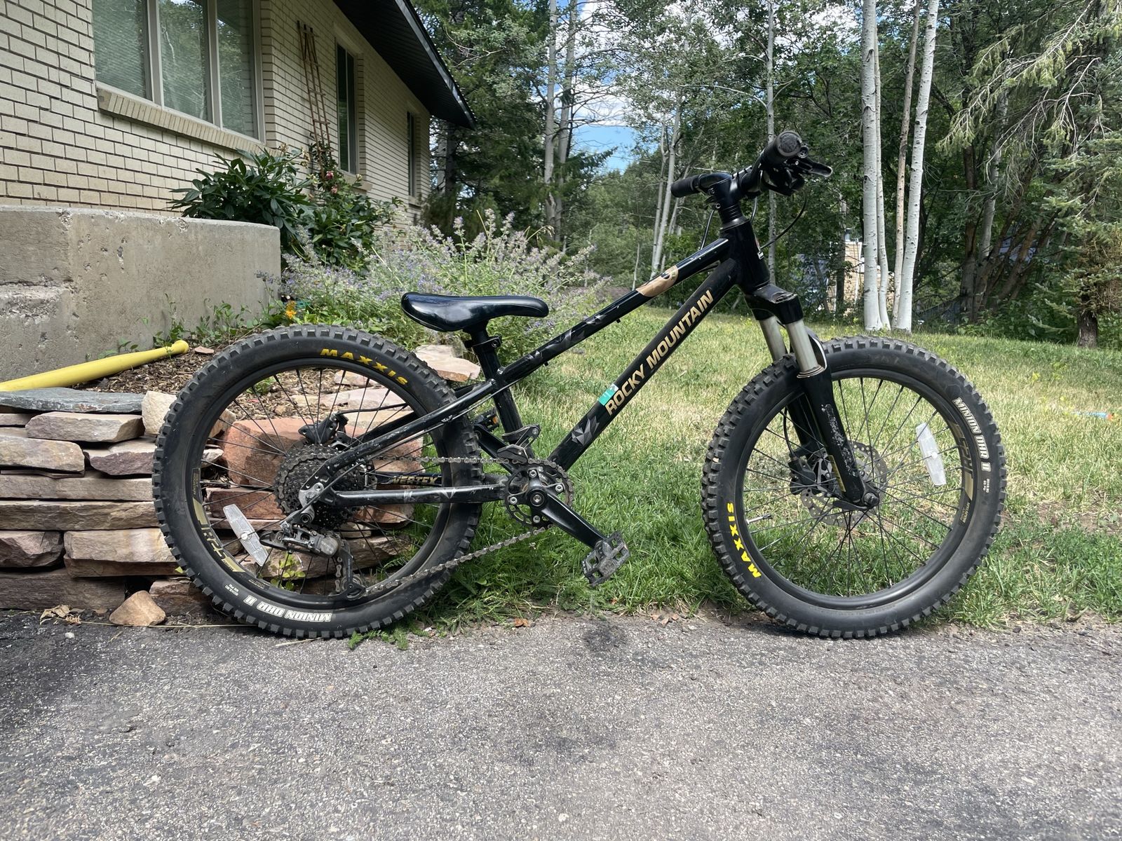 Rocky Mountain Vertex 20" Kids Mountain Bike - Hardtail, Black with Gold Accents
