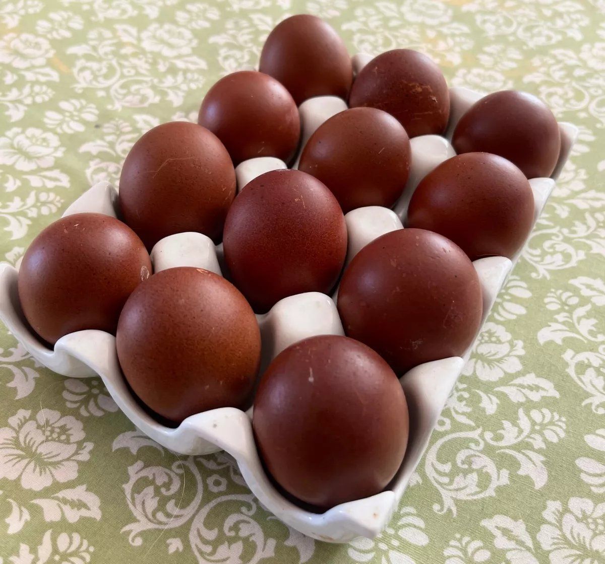 fertile Black copper maran eggs