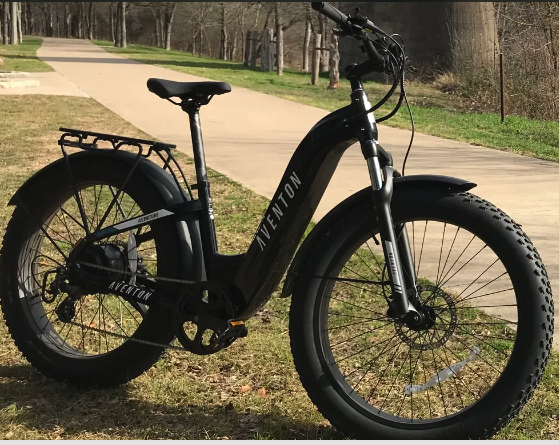 Aventure 2 heavy duty e-bike