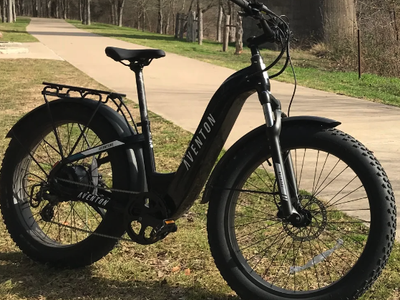 Aventure 2 heavy duty e-bike
