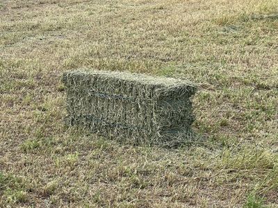 Alfalfa Small Bales