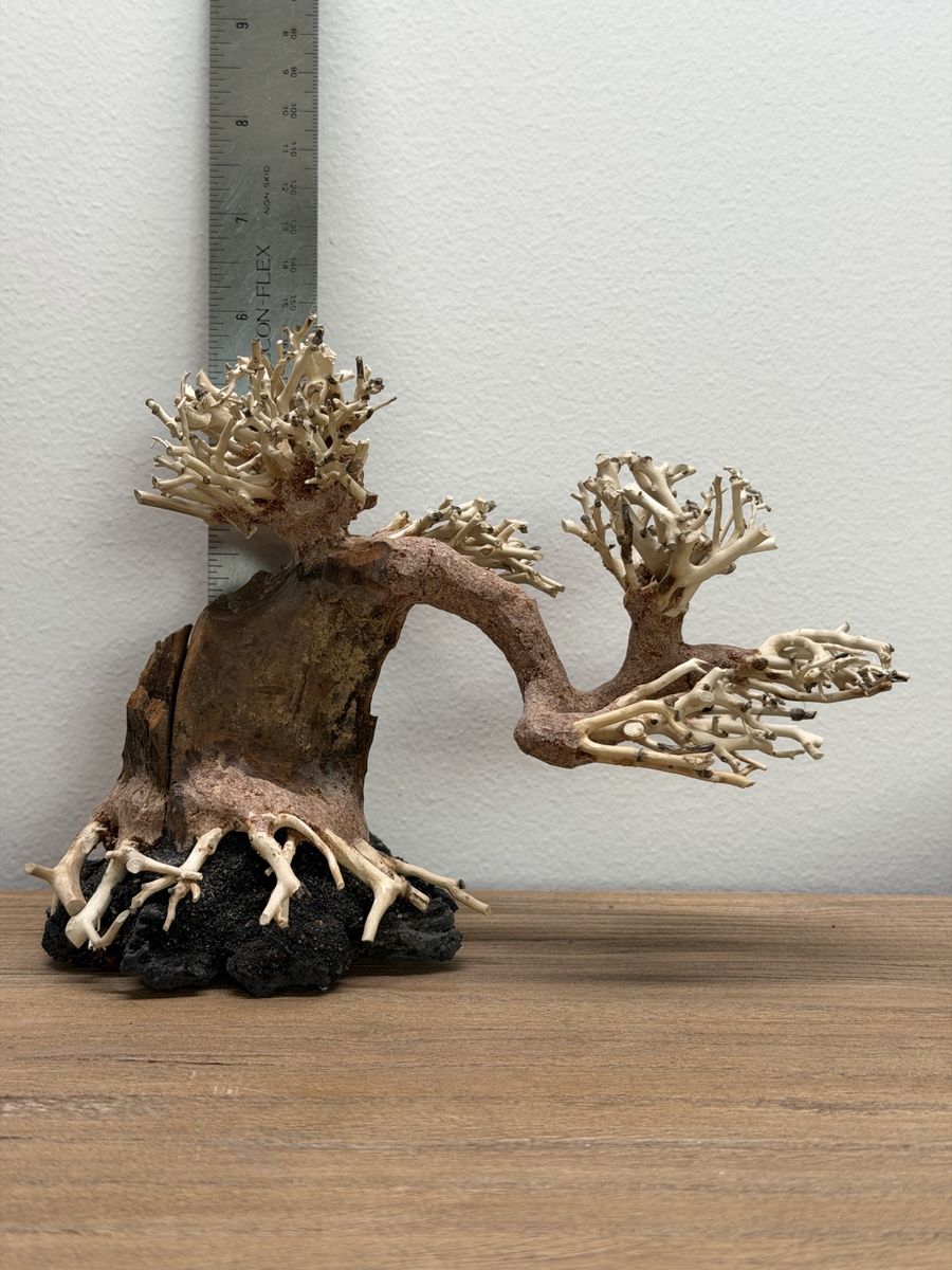 Bonsai tree driftwood for aquarium