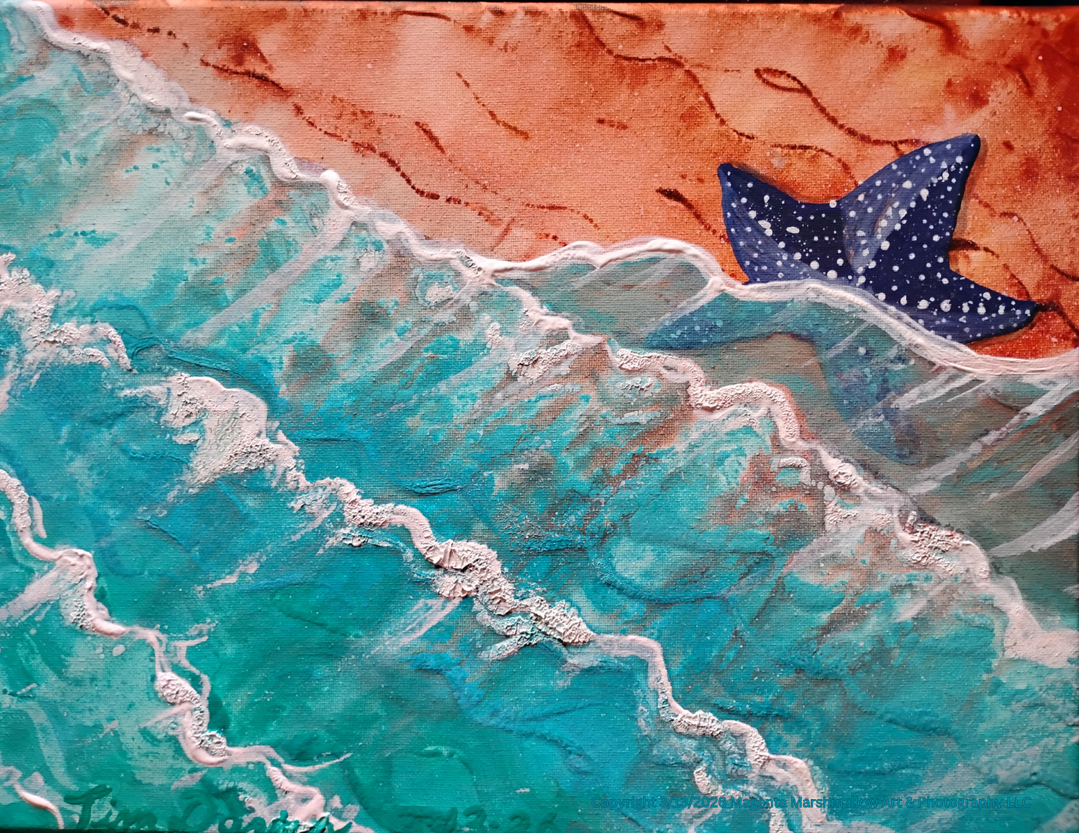 Starfish - Canvas Print