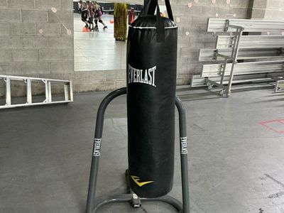 Punching bag with gloves
