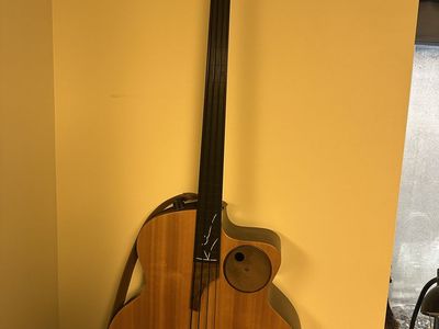 Taylor AB1 acoustic elec FRETLESS bass