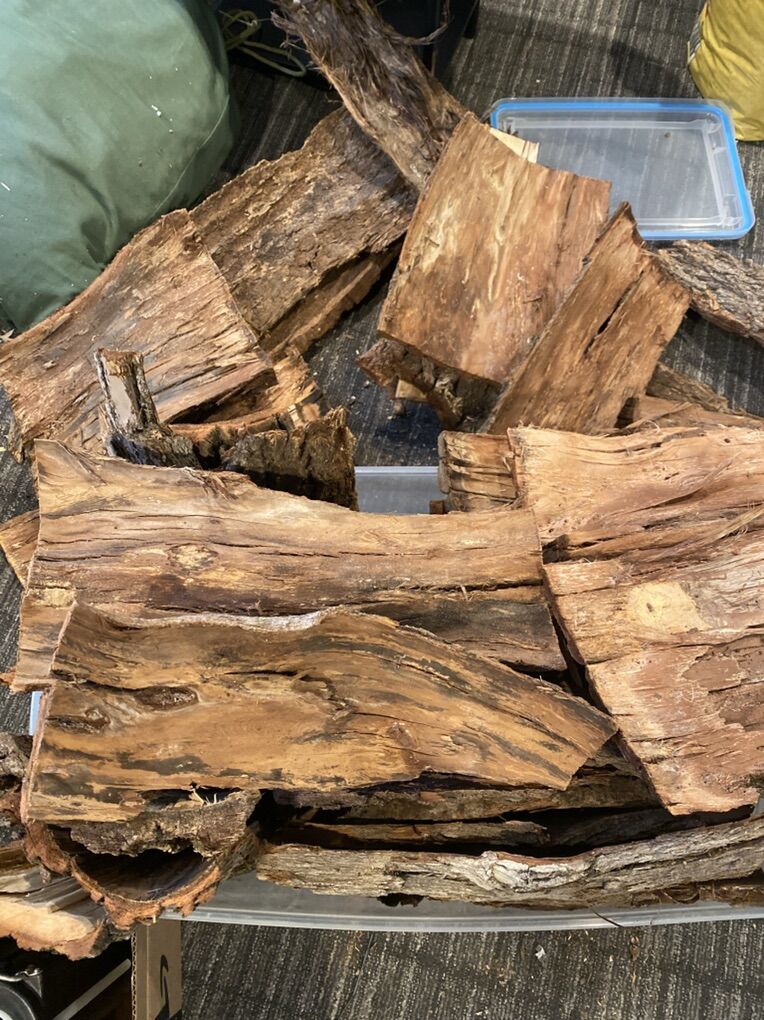 Large hard Wood Bark Pieces