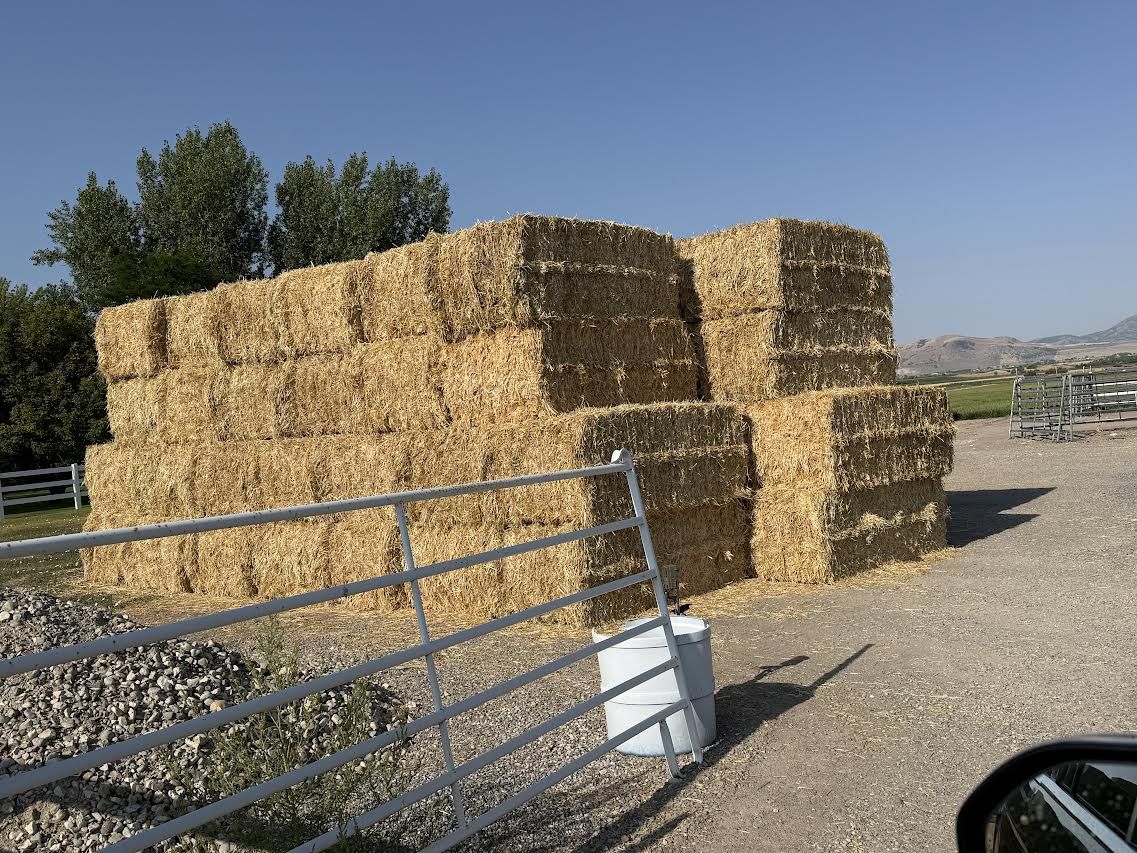 Straw  3 x 4 x 8 Bales