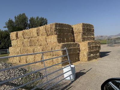 Straw 3 x 4 x 8 Bales