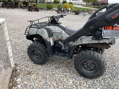 Kawasaki brute force 750