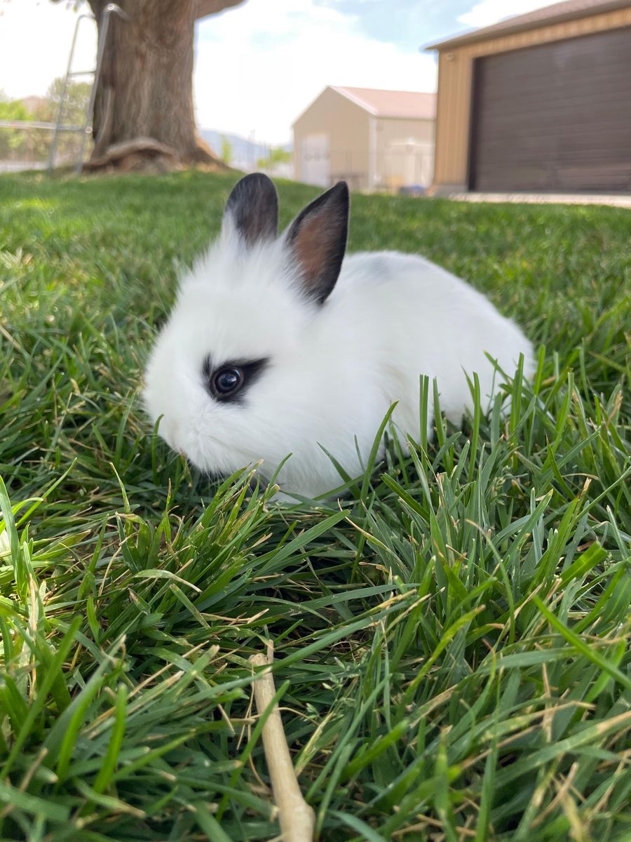 Main image 3