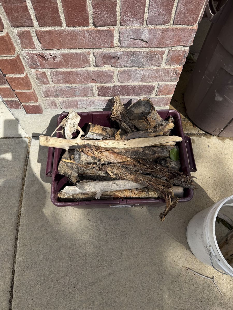 FIREWOOD