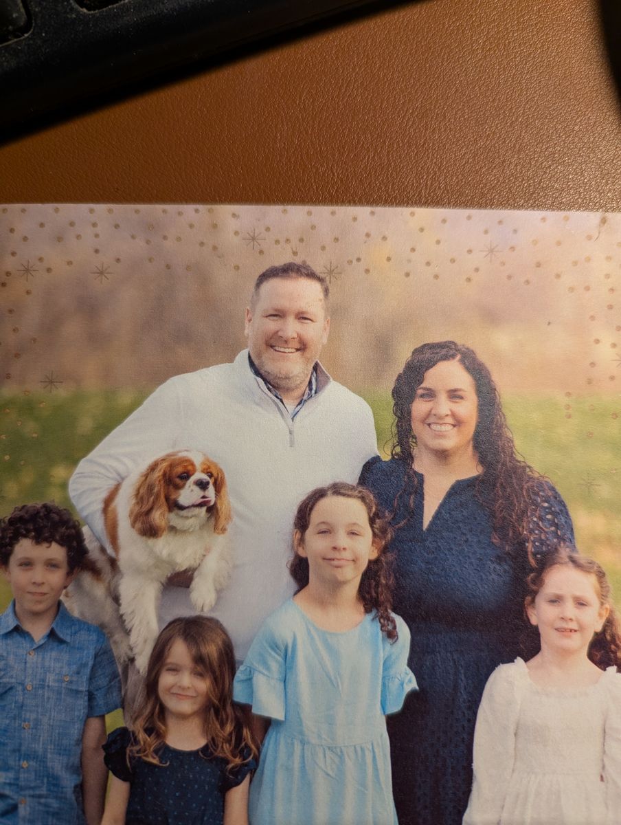 Lost Dog-  King Charles Cavalier Spaniel