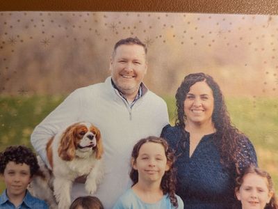 Lost Dog- King Charles Cavalier Spaniel
