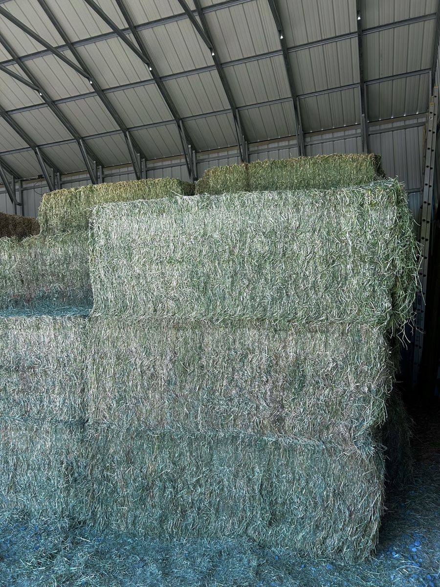 Quality Alfalfa Hay - 3x4x8 Bales - Pickup or Delivery