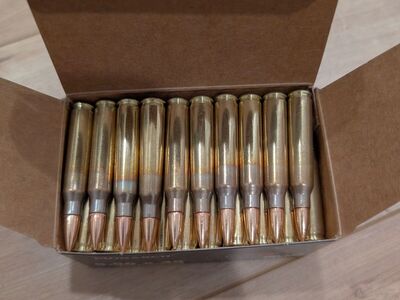 1000 rounds 5.56*45