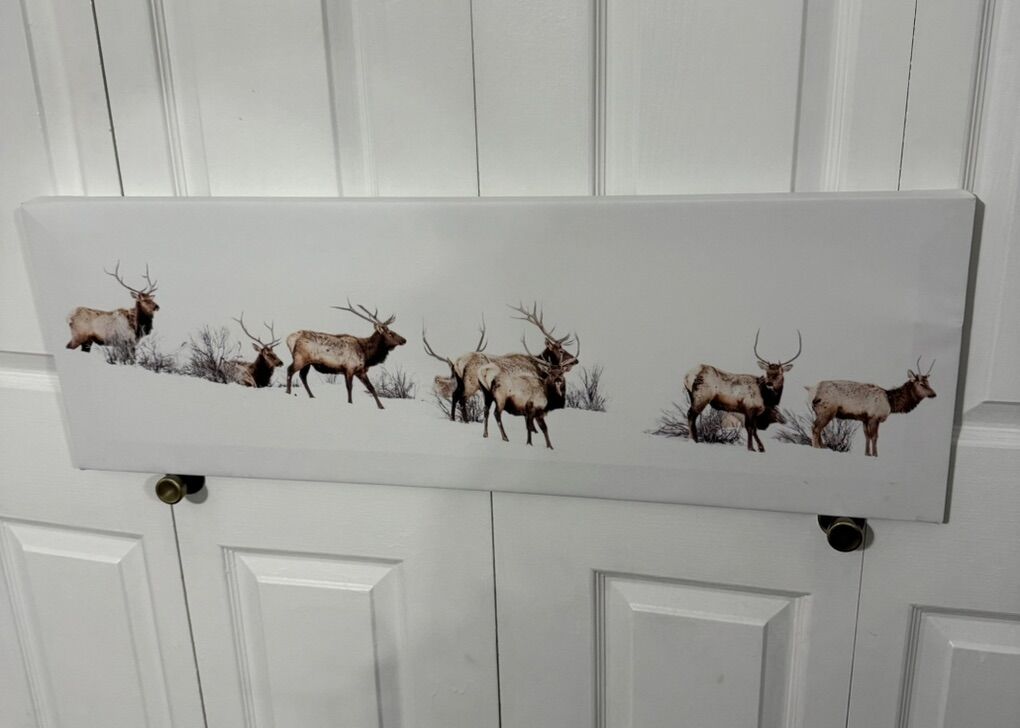 Panoramic Elk Canvas Print 12x36
