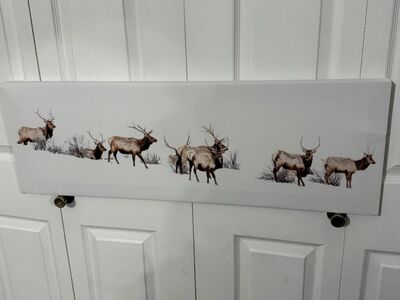 Panoramic Elk Canvas Print 12x36