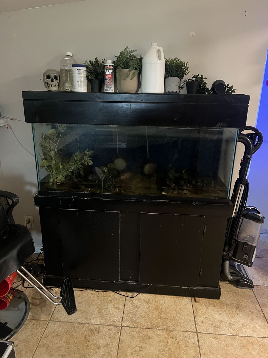 55 gallon tank and wooden stand