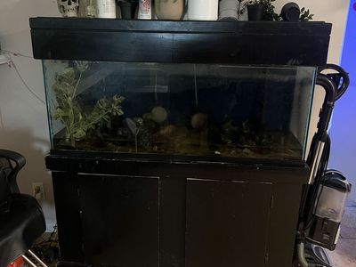 55 gallon tank and wooden stand