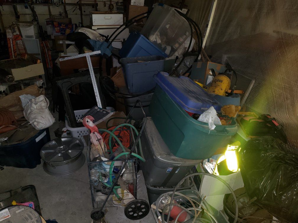 Main image 7