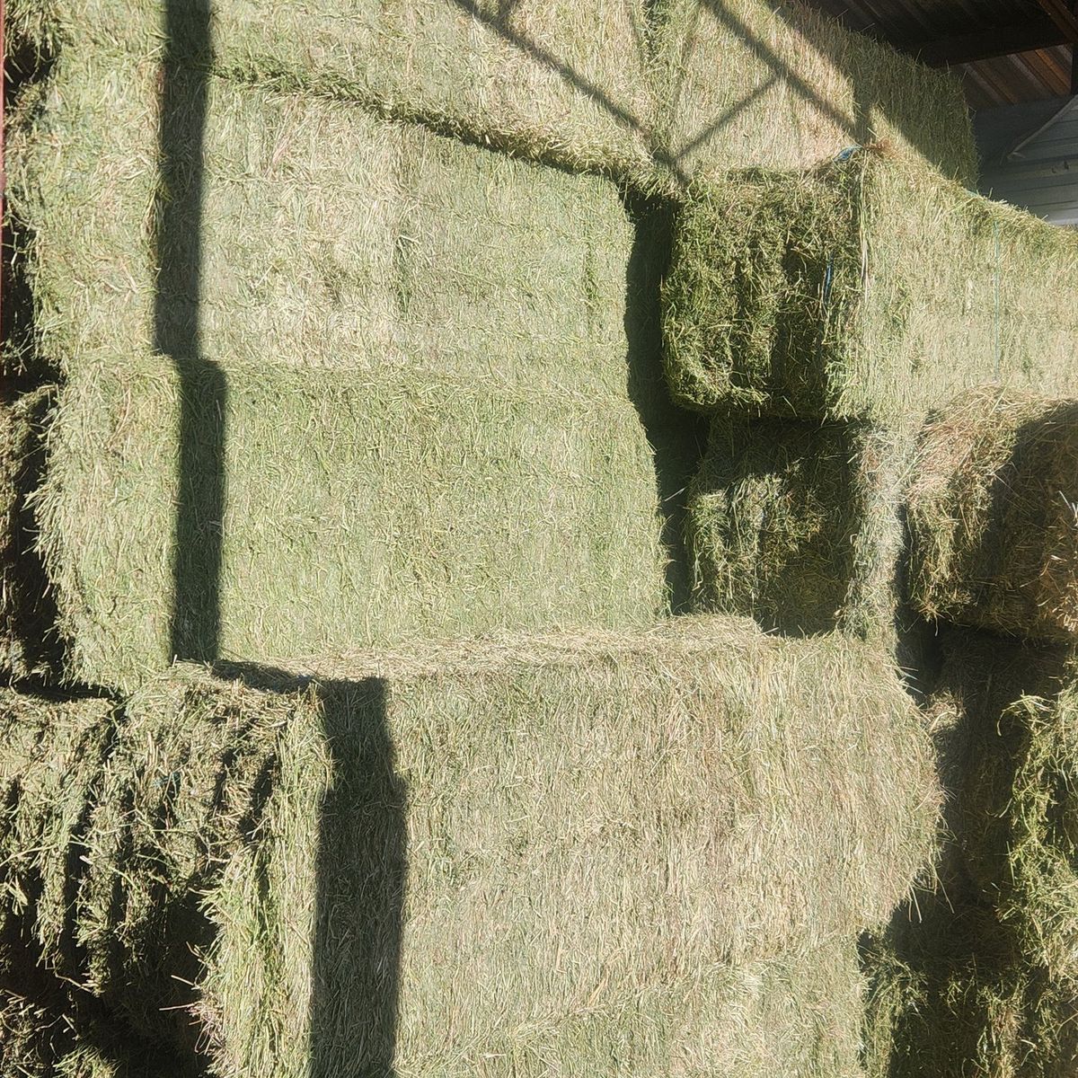 3x3x8 1st crop alfalfa feeder