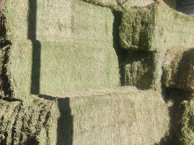 3x3x8 1st crop alfalfa feeder