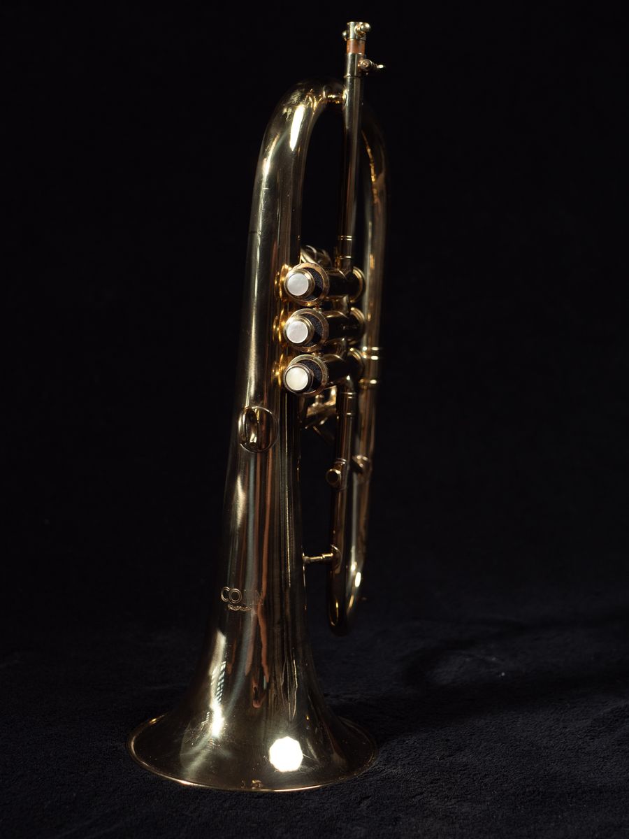 Main image 3