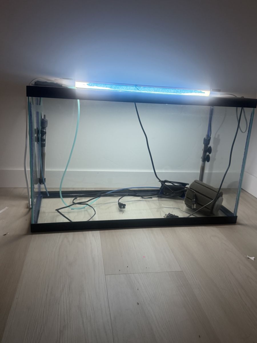 30 gallon tank