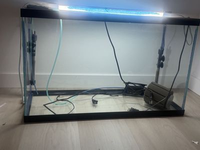 30 gallon tank