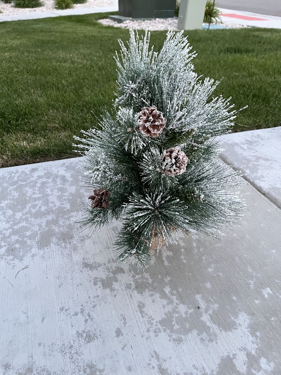 DECORATIVE PINE TREE