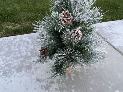 DECORATIVE PINE TREE