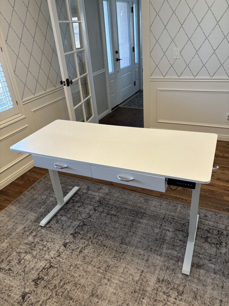 55 X 24 Electric Standing Desk