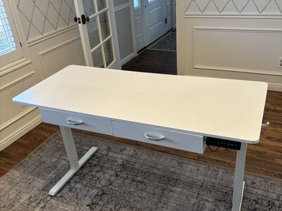55 X 24 Electric Standing Desk