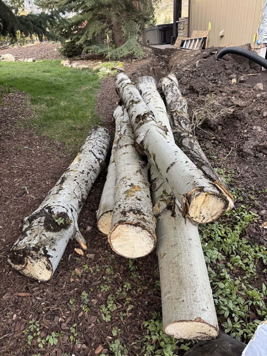 Free firewood for pickup near Park City