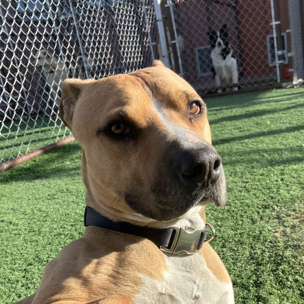 Hello my name is Norman