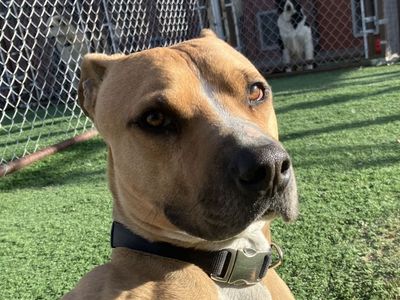 Hello my name is Norman