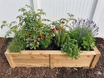 Garden Box
