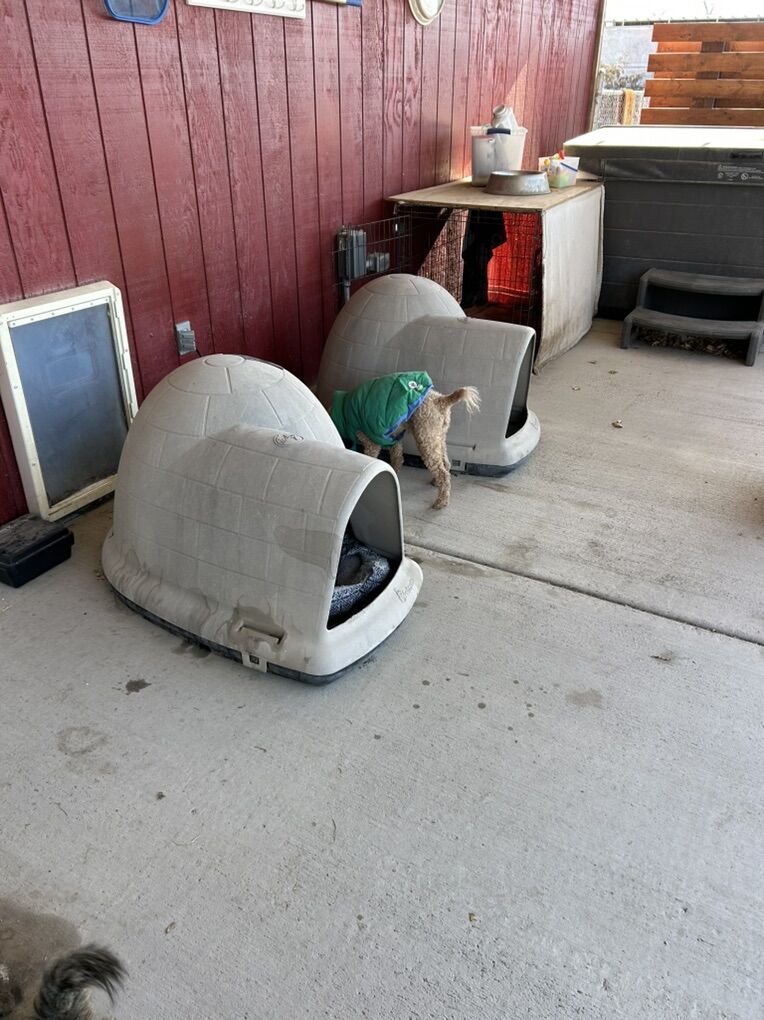 Large Igloo Dog Houses