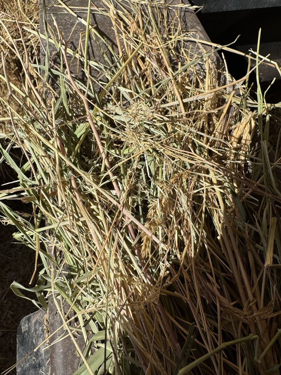 Main image 8