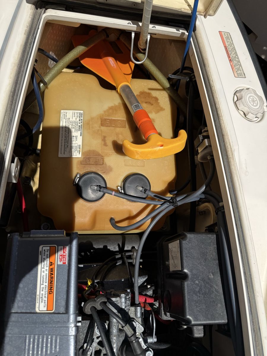 Main image 6