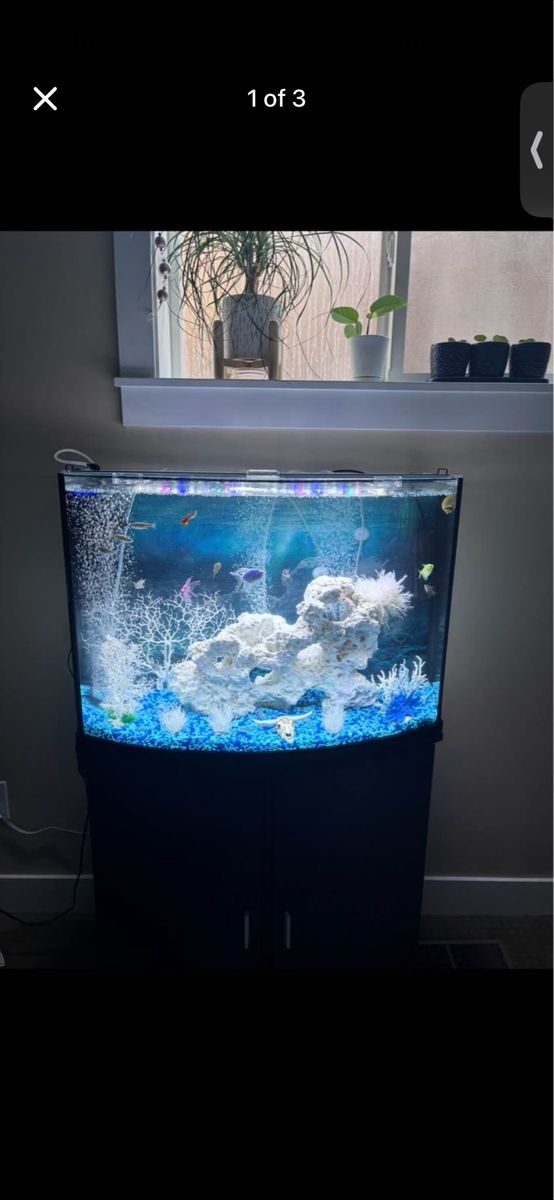 36-Gallon Bow Front Aquarium