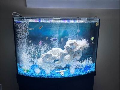 36-Gallon Bow Front Aquarium