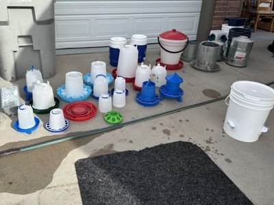 Chicken Feeders & Waterer's