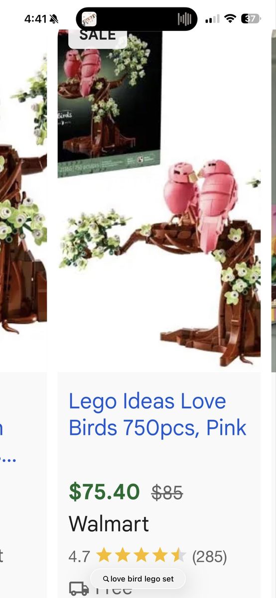 NEW LEGO SET!  Love birds LEGO set!