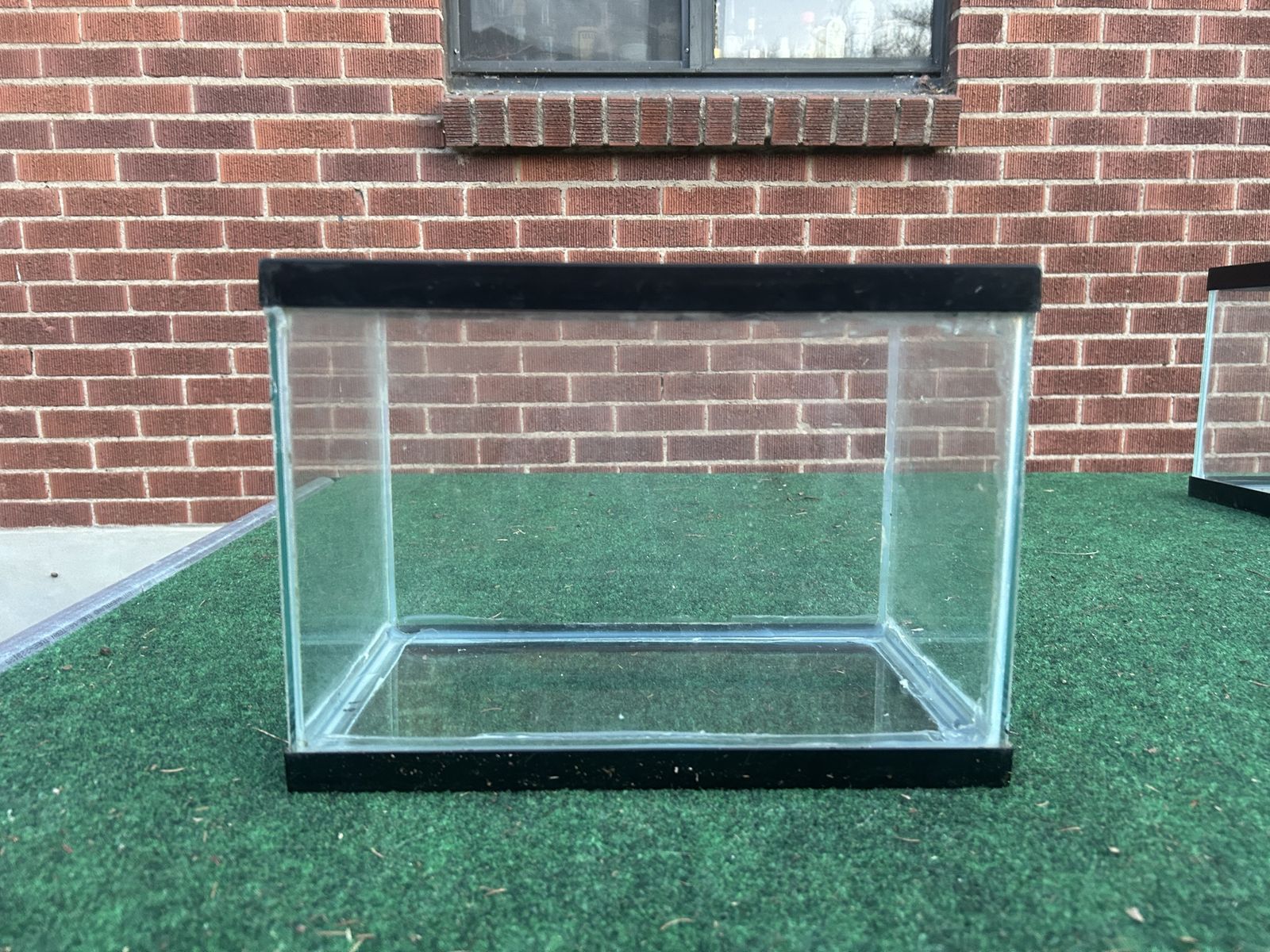 5 gallon aquarium