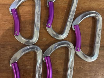 Petzl Spirit Carabiners - 5 pack
