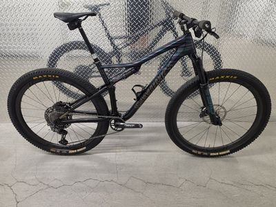 Specialized S-Works Epic EVO Large XTR 24lbs